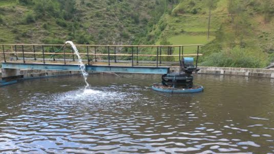Shimla Water Pollution Scandal: SJPN Fined ₹31.17 Lakh for Violating Norms Shimla Water Pollution Scandal: SJPN Fined ₹31.17 Lakh for Violating Norms HIMACHAL HEADLINES