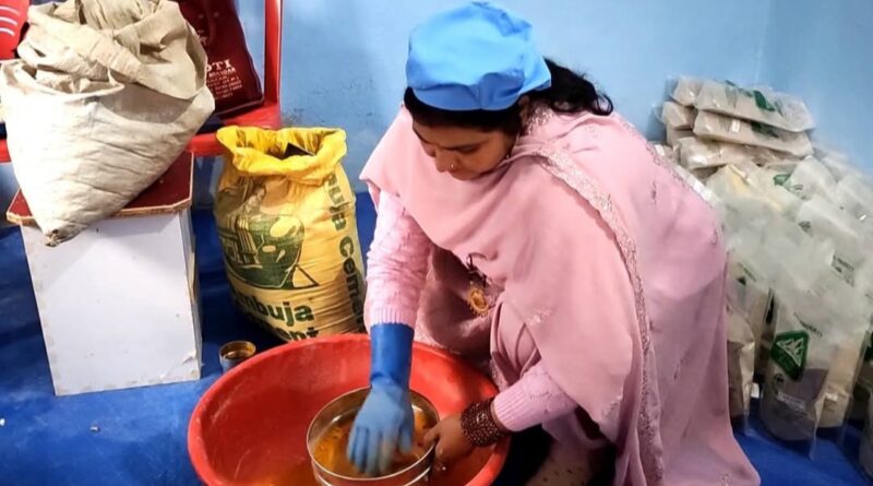 Turmeric Gold: Dharmapur Women Cultivate Success & Gratitude with Organic Farming HIMACHAL HEADLINES