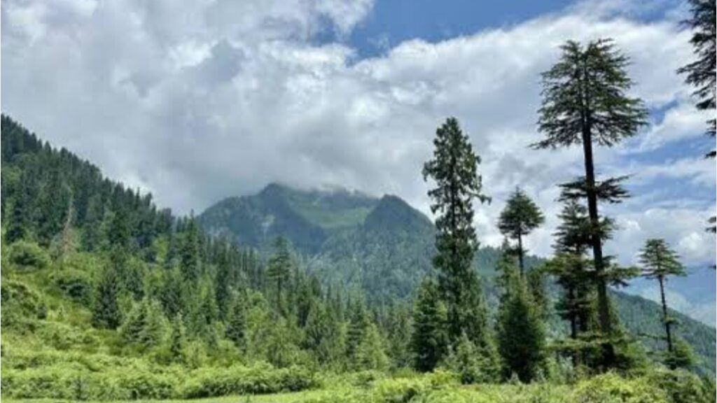Ensuring Forest Rights in Himachal: Forest Dwellers to Get Lease Land Under FRA, Without Right to Sell HIMACHAL HEADLINES