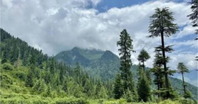 Enviromental & Social Groups Object to Forest Dept's unilateral intervention in Constitutional Process Enviromental & Social Groups Object to Forest Dept's unilateral intervention in Constitutional Process HIMACHAL HEADLINES