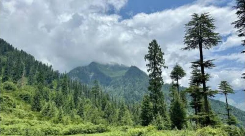 Himachal's Forest Rights Battle: Farmers Face Eviction as Legal Tangle Deepens HIMACHAL HEADLINES