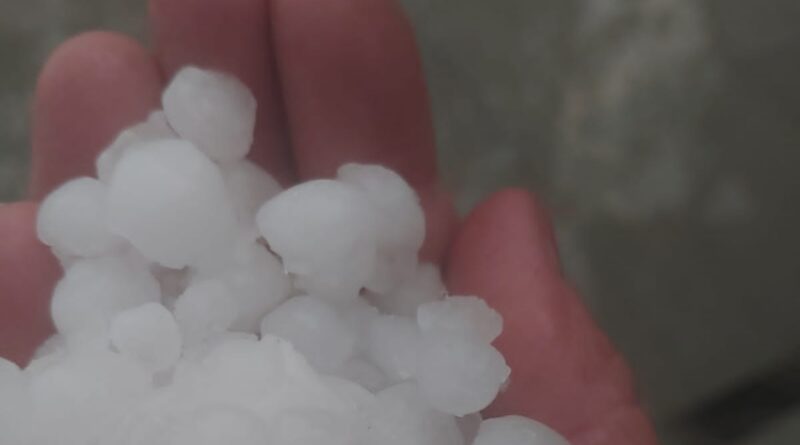 Himachal Weather Turns Moody Again: Snowfall in Hills, Hailstorm Hits Shimla HIMACHAL HEADLINES