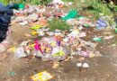 Illegal Debris Dumping in Shimla’s Forests Continues Unchecked Despite Action Plans