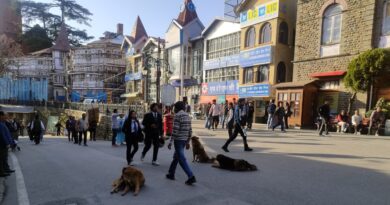 Shimla Citizens Vow to Keep Up the Fight for a Safer City Shimla Citizens Vow to Keep Up the Fight for a Safer City HIMACHAL HEADLINES