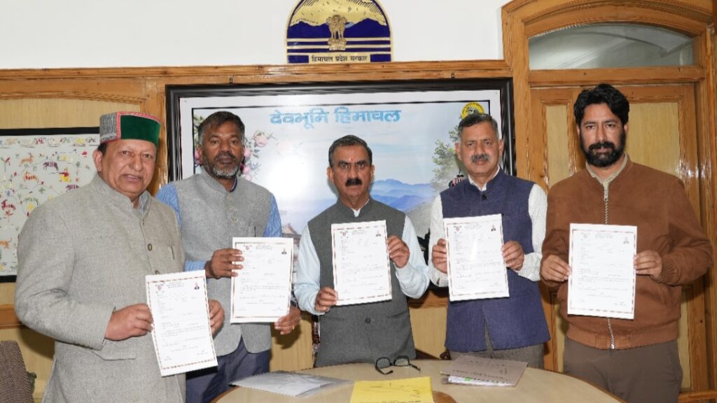 CM Sukhu launches registration form for procurement of Turmeric HIMACHAL HEADLINES