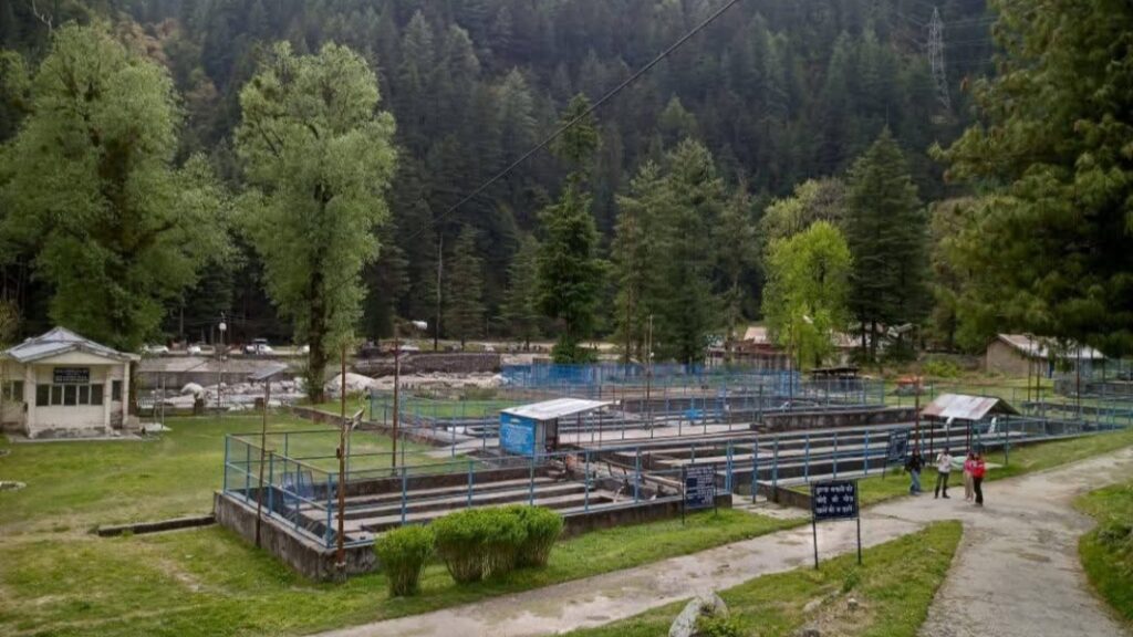 Barot’s Trout Revolution: How a Himalayan Gem is Transforming Lives Through Fish Farming Barot’s Trout Revolution: How a Himalayan Gem is Transforming Lives Through Fish Farming HIMACHAL HEADLINES