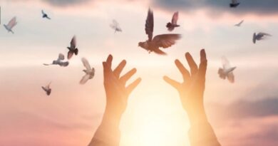 There is no alternative to peace