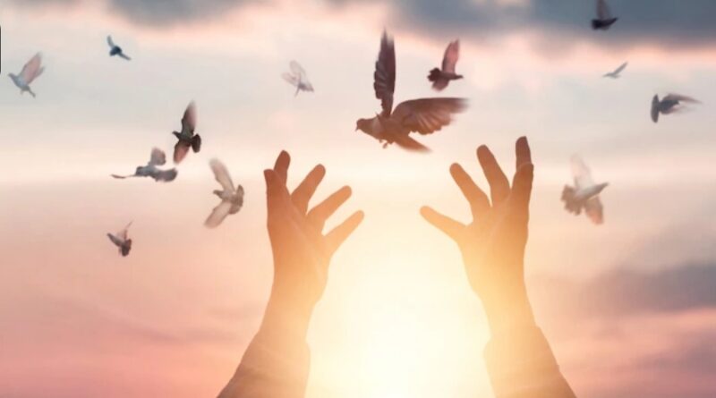 There is no alternative to peace HIMACHAL HEADLINES