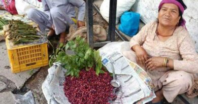 Kafal: The Wild Fruit Bringing Joy and Health to Himachal's Tourists and Villagers Kafal: The Wild Fruit Bringing Joy and Health to Himachal's Tourists and Villagers HIMACHAL HEADLINES