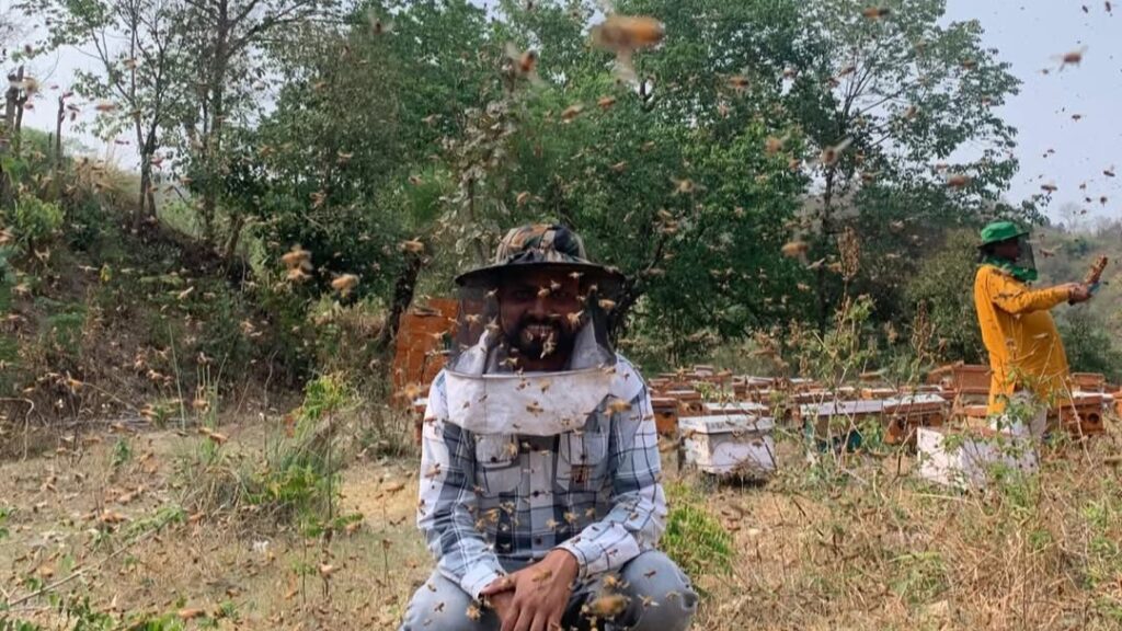 From 1 Lakh to 30 Lakhs: How a Himachal Beekeeper’s Sweet Dream Came True HIMACHAL HEADLINES