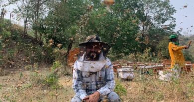 From 1 Lakh to 30 Lakhs: How a Himachal Beekeeper’s Sweet Dream Came True HIMACHAL HEADLINES