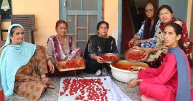 From Homemakers to Breadwinners: How Navjyoti SHG is Rewriting Rural Women’s Destiny HIMACHAL HEADLINES
