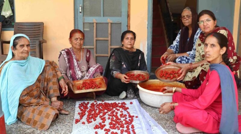 From Homemakers to Breadwinners: How Navjyoti SHG is Rewriting Rural Women’s Destiny HIMACHAL HEADLINES
