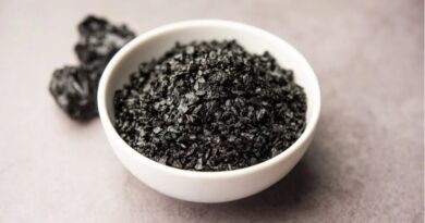 What are the problems caused by continuous consumption of Shilajit HIMACHAL HEADLINES