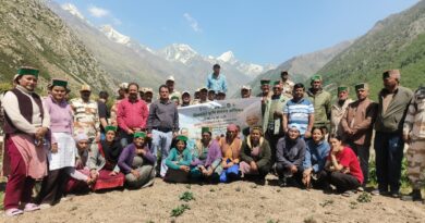 Chitkul cultivates Himalayan Harmony and natural Legacy at 11500 Feet Chitkul cultivates Himalayan Harmony and natural Legacy at 11500 Feet HIMACHAL HEADLINES