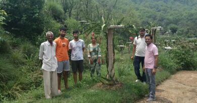 Roshan Lal Blossoms into a Pioneer: How a Himachal Farmer is Redefining Success with Dragon Fruit Roshan Lal Blossoms into a Pioneer: How a Himachal Farmer is Redefining Success with Dragon Fruit HIMACHAL HEADLINES