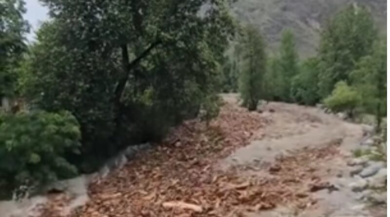 Nature’s Cry: Floods Expose Hidden Threat to Himachal’s Forests Nature’s Cry: Floods Expose Hidden Threat to Himachal’s Forests HIMACHAL HEADLINES