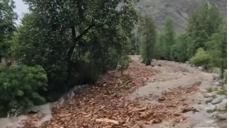 Nature’s Cry: Floods Expose Hidden Threat to Himachal’s Forests Nature’s Cry: Floods Expose Hidden Threat to Himachal’s Forests HIMACHAL HEADLINES