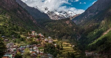 Radical reforms in Revenue department to offer transparent services to people HIMACHAL HEADLINES