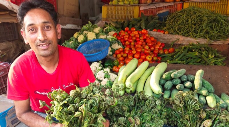 Nature’s Gift: How a Wild Mountain Herb is Nourishing Lives and Livelihoods in Mashobra HIMACHAL HEADLINES
