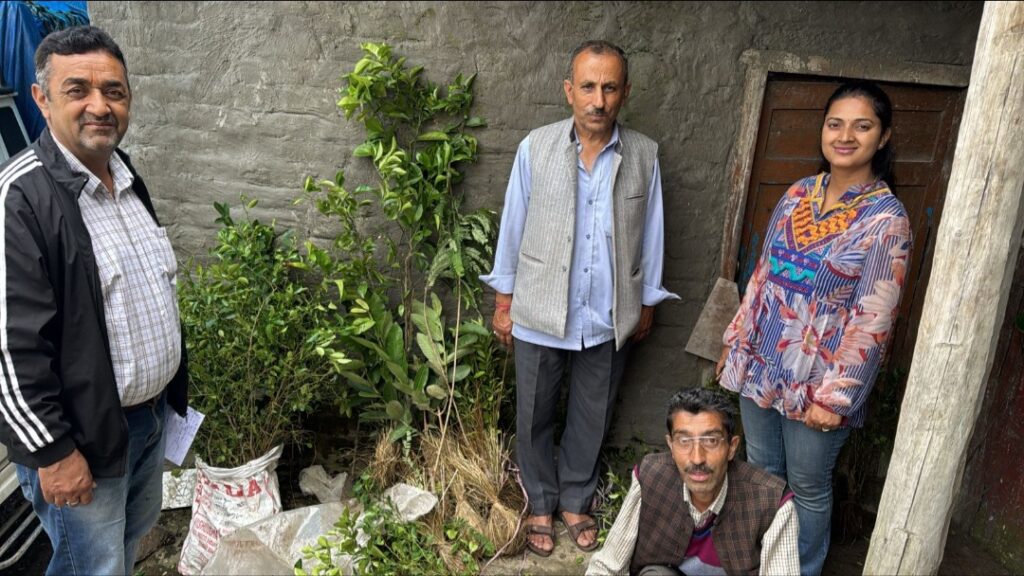 Horticulture department will distribute 3500 fruit plants to Mashobra farmers HIMACHAL HEADLINES