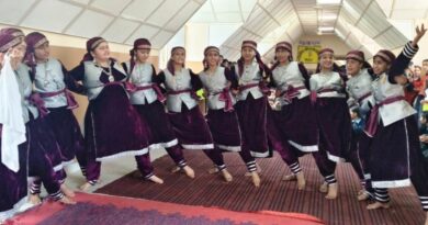 Balag school's performance was the best in the art festival HIMACHAL HEADLINES