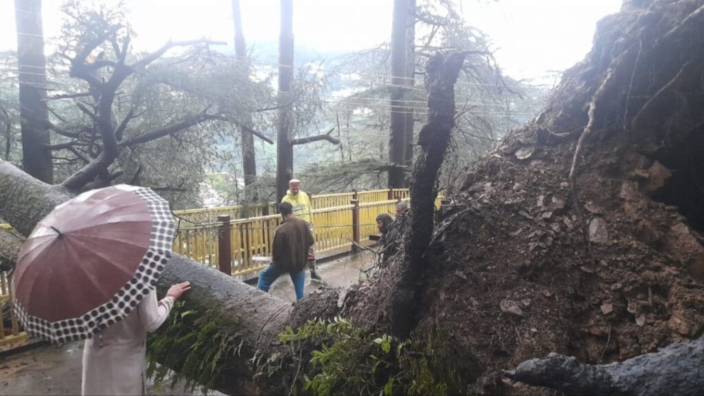 Heads Up, Shimla! Schools Closed Monday as Heavy Rains Trigger Red Alert Heads Up, Shimla! Schools Closed Monday as Heavy Rains Trigger Red Alert HIMACHAL HEADLINES