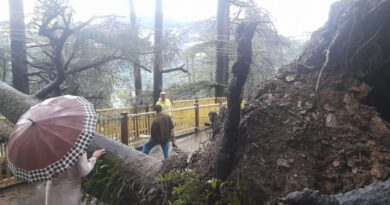 Heads Up, Shimla! Schools Closed Monday as Heavy Rains Trigger Red Alert HIMACHAL HEADLINES