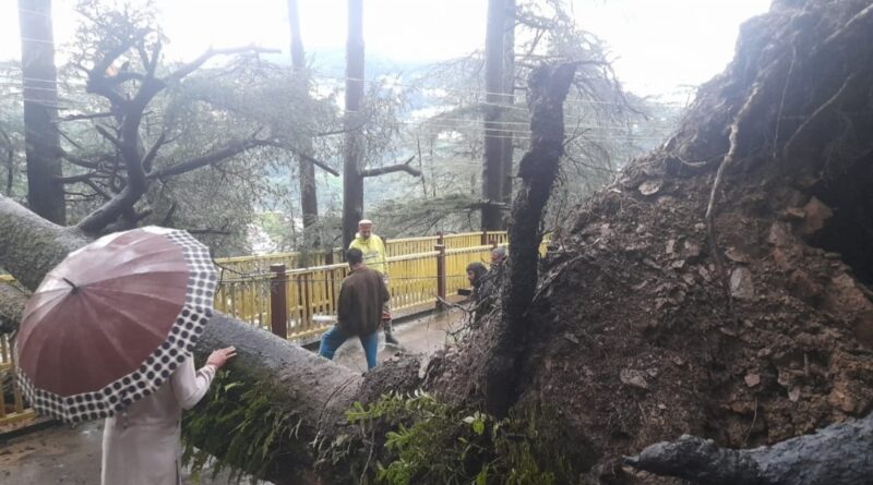 Heads Up, Shimla! Schools Closed Monday as Heavy Rains Trigger Red Alert Heads Up, Shimla! Schools Closed Monday as Heavy Rains Trigger Red Alert HIMACHAL HEADLINES