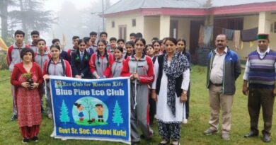 School children planted trees in tourist spot Kufri School children planted trees in tourist spot Kufri HIMACHAL HEADLINES