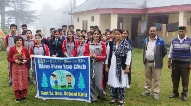 School children planted trees in tourist spot Kufri HIMACHAL HEADLINES