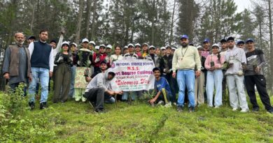 100 saplings planted in the name of 'one tree for mother' in Government College Chail-Koti 100 saplings planted in the name of 'one tree for mother' in Government College Chail-Koti HIMACHAL HEADLINES