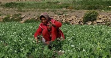 2,22,893 farmers engaged in Natural farming, 38,437 hectares of land under cultivation 2,22,893 farmers engaged in Natural farming, 38,437 hectares of land under cultivation HIMACHAL HEADLINES