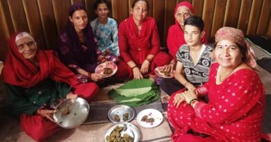 A Monsoon Delight: The Cultural and Culinary Charm of Arbi Leaf Patid HIMACHAL HEADLINES