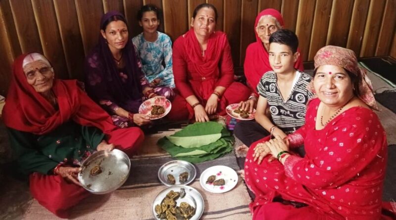 A Monsoon Delight: The Cultural and Culinary Charm of Arbi Leaf Patid A Monsoon Delight: The Cultural and Culinary Charm of Arbi Leaf Patid HIMACHAL HEADLINES