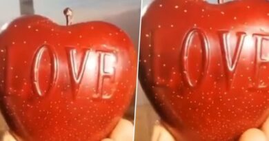 Love in Every Bite: Himachal Farmer Grows Heart-Shaped Apples with a Personal Touch Love in Every Bite: Himachal Farmer Grows Heart-Shaped Apples with a Personal Touch HIMACHAL HEADLINES