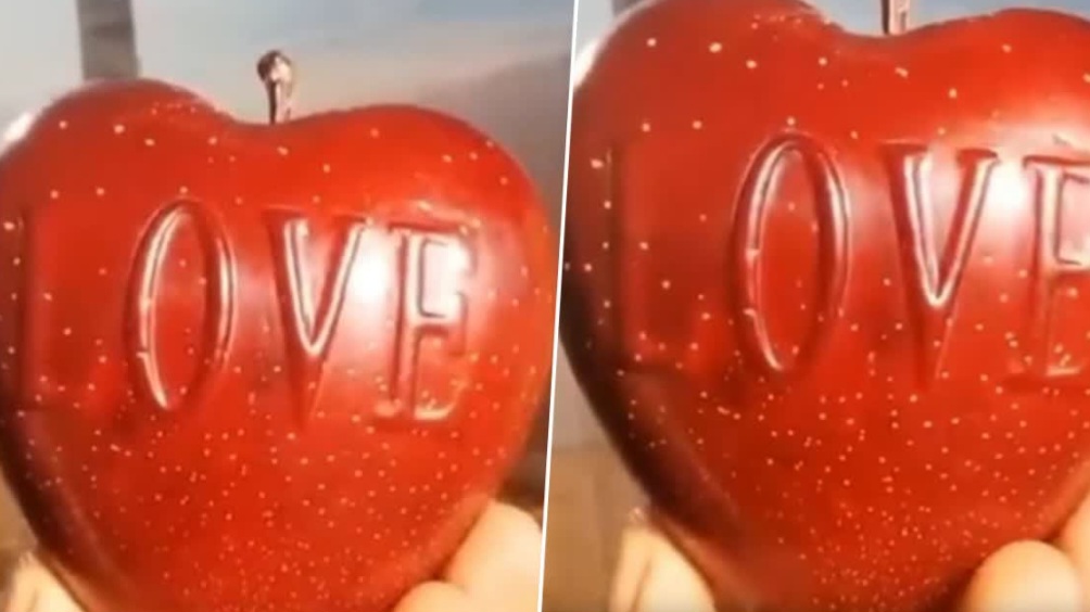 Love in Every Bite: Himachal Farmer Grows Heart-Shaped Apples with a Personal Touch HIMACHAL HEADLINES