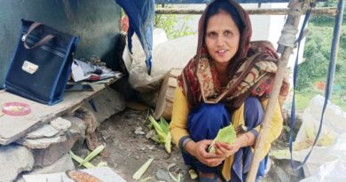 Roasted Corn : How Rainy Season Brings Hope to Rajgarh’s Roadside Vendors Roasted Corn : How Rainy Season Brings Hope to Rajgarh’s Roadside Vendors HIMACHAL HEADLINES
