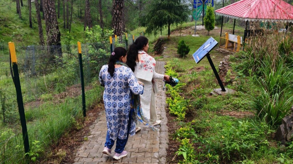 Forest garden at Shri Bhureshwar Mahadev temple will open from September 15 HIMACHAL HEADLINES