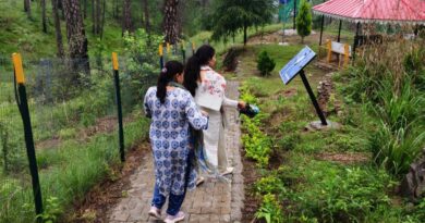 Forest garden at Shri Bhureshwar Mahadev temple will open from September 15 Forest garden at Shri Bhureshwar Mahadev temple will open from September 15 HIMACHAL HEADLINES