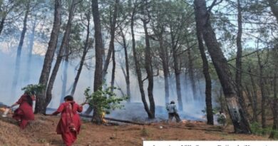 CBO's to get performance based  incentives for ensuring survival of saplings HIMACHAL HEADLINES