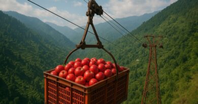 Ropeway Lifeline Brings Relief to Flood-Hit Apple Growers in Rampur’s Ghanvi Region Ropeway Lifeline Brings Relief to Flood-Hit Apple Growers in Rampur’s Ghanvi Region HIMACHAL HEADLINES