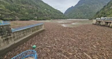 Timber Tsunami: Himachal’s Forest Crisis Reaches Supreme Court HIMACHAL HEADLINES