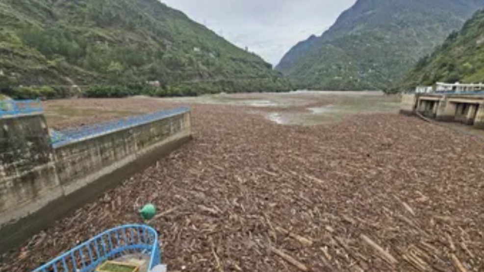 Timber Tsunami: Himachal’s Forest Crisis Reaches Supreme Court HIMACHAL HEADLINES