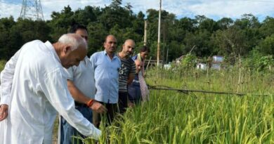 A Fragrant Revolution: Rose Paddy Blooms in Banoli Khas, Earning Minister's Praise HIMACHAL HEADLINES