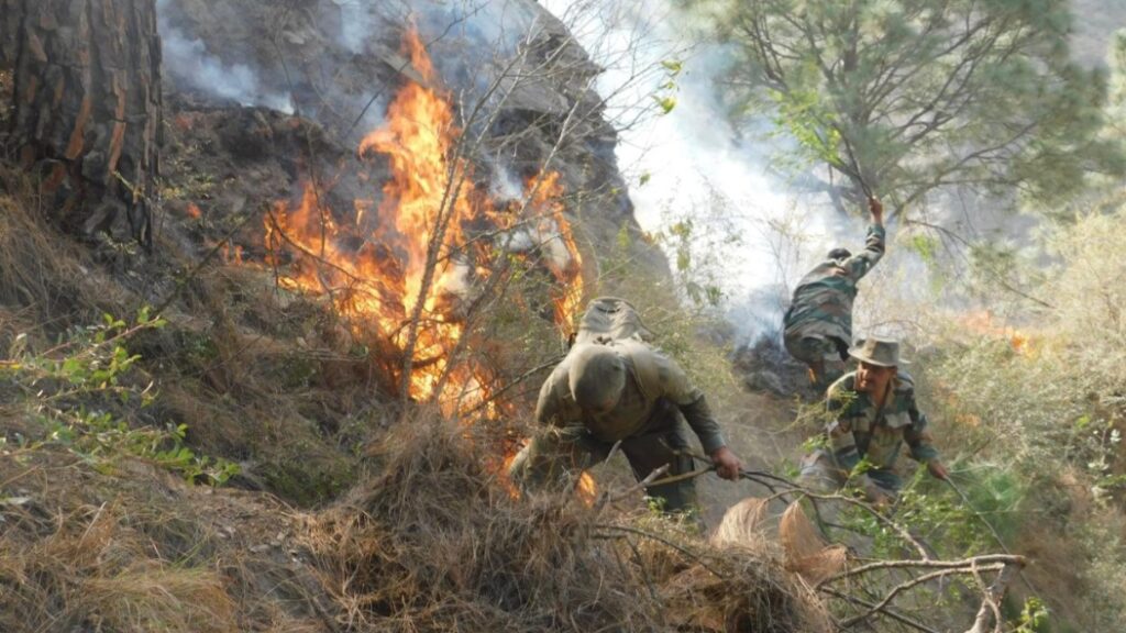 Eco Task Force playing a commendable role in environmental protection Eco Task Force playing a commendable role in environmental protection HIMACHAL HEADLINES