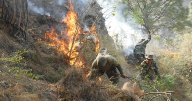 Eco Task Force playing a commendable role in environmental protection Eco Task Force playing a commendable role in environmental protection HIMACHAL HEADLINES