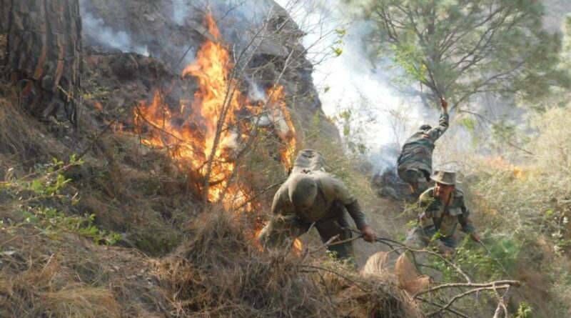 Eco Task Force playing a commendable role in environmental protection Eco Task Force playing a commendable role in environmental protection HIMACHAL HEADLINES