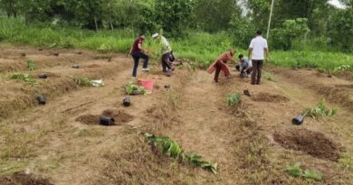 From Barren to Bloom: How a Single Project is Transforming Lives in Himachal's Heartland HIMACHAL HEADLINES