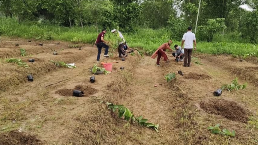 From Barren to Bloom: How a Single Project is Transforming Lives in Himachal's Heartland HIMACHAL HEADLINES